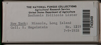 Image Associated With the Occurence
